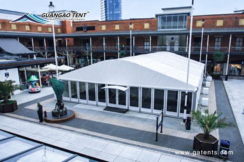 16323854782309374020.jpg 8.jpg